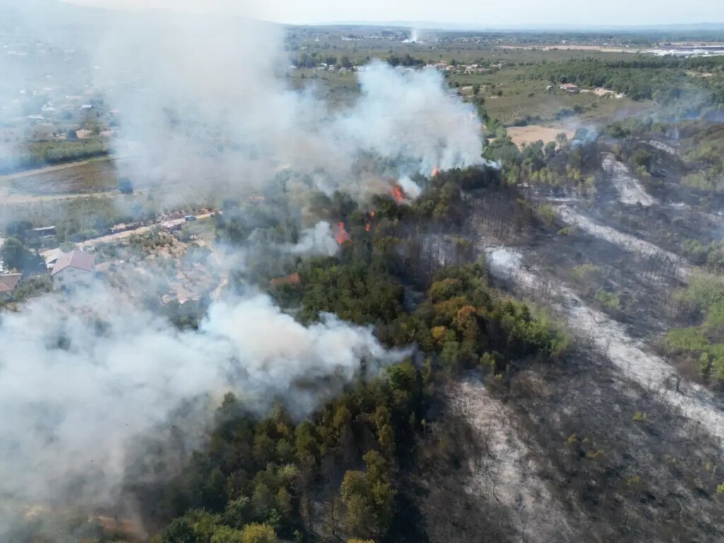 akyazidaki orman yangini kontrol altina alindi RcwN4mPs
