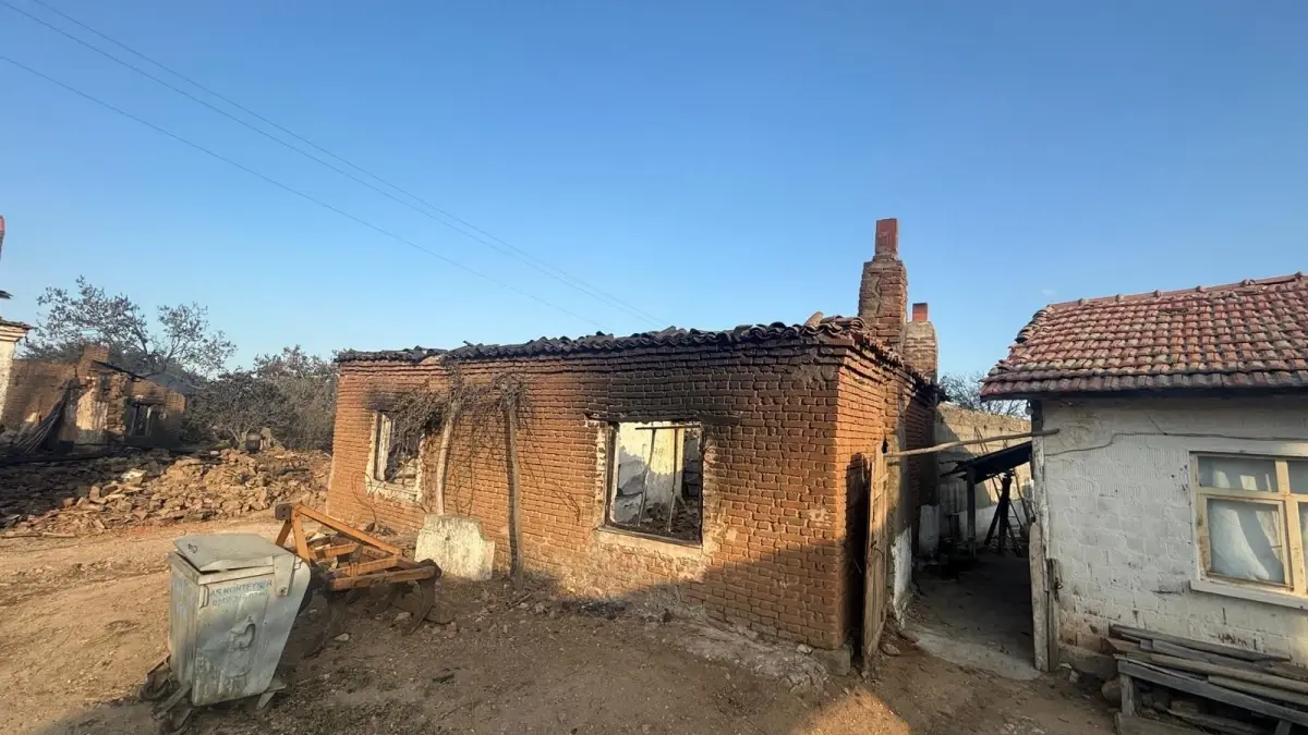 bayramicte orman yangini hasar tespiti basladi 39bAZkcn