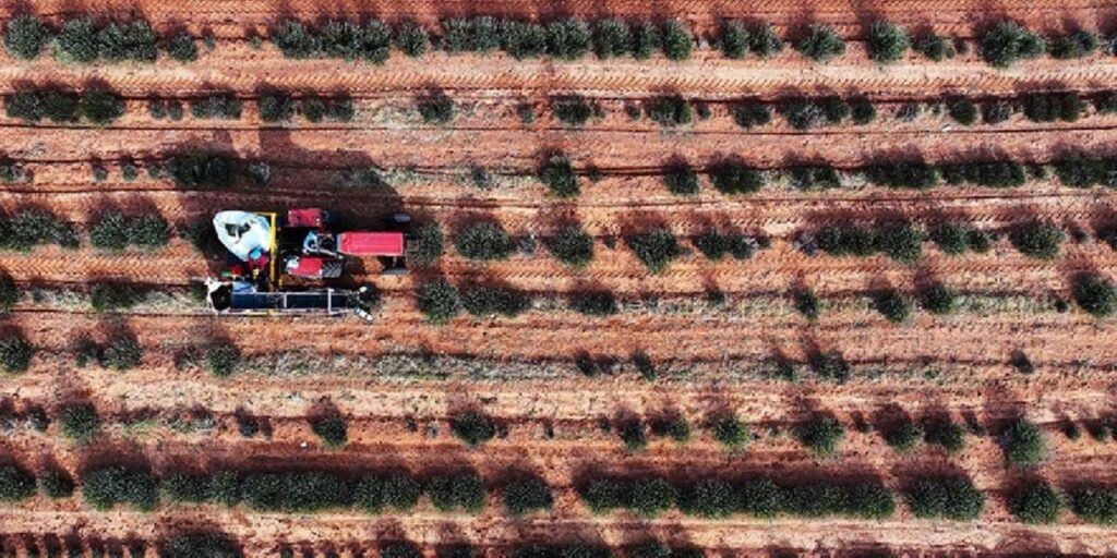 corak araziye can veren hasat hicbir sey yetismezken simdi deste deste para kazandiriyor NXHCPZHv