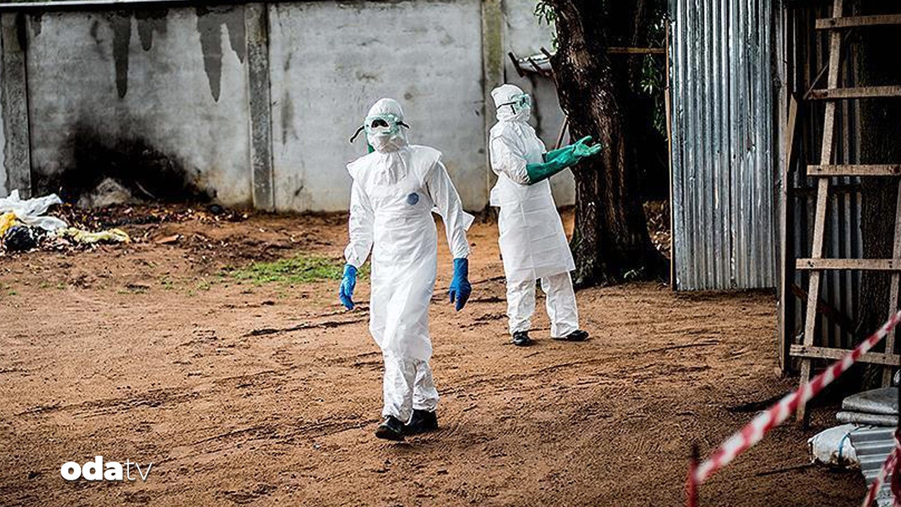 kolera 50 can aldi lGRA3Nya