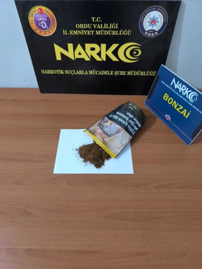 orduda uyusturucu operasyonu 2 tutuklama bQTzzpFR