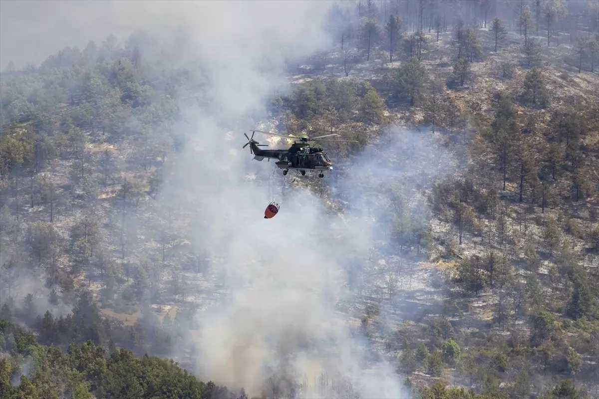 sakar daginda yanginla mucadele devam ediyor XgH4OldB