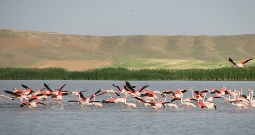 sozcu talani yazdi chp mitinge gidiyor 6Gxqu7Mj
