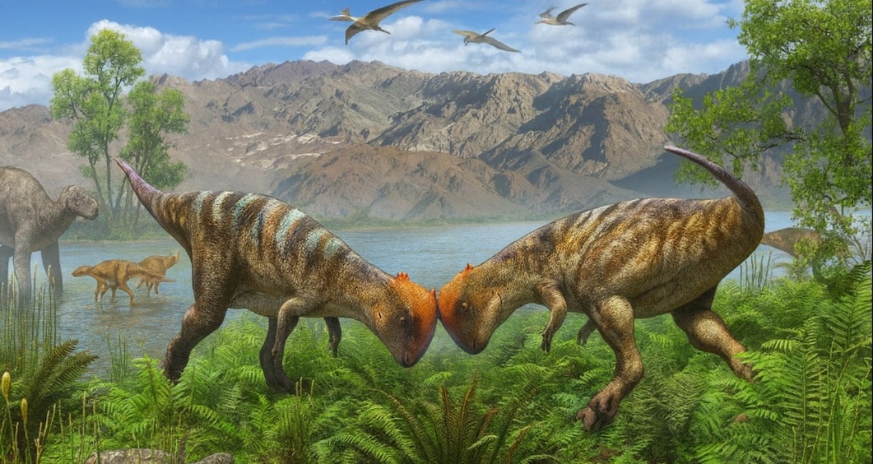 kaya parcasindan 115 milyon yillik tarih cikti bilim dunyasi saskin Qb2vlRD6