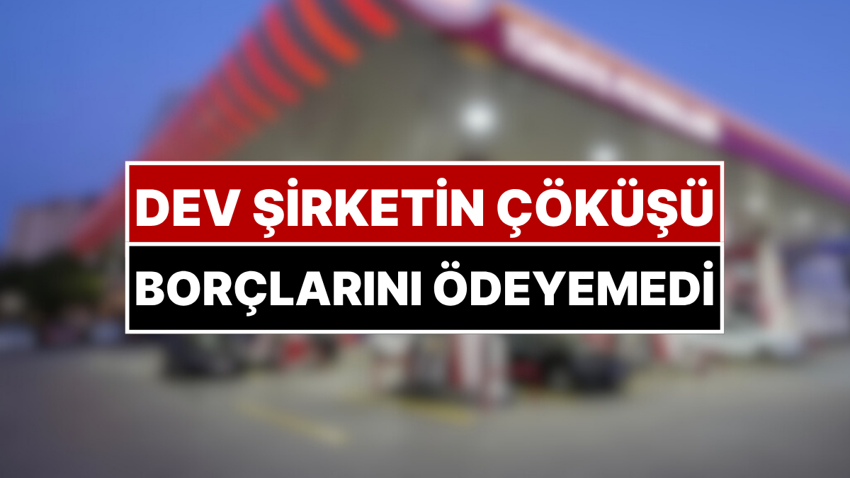 bir devin cokusu turkiyenin en buyuk sirketiydi simdi borclarini odeyemiyor Pvt8PCdT.jpg