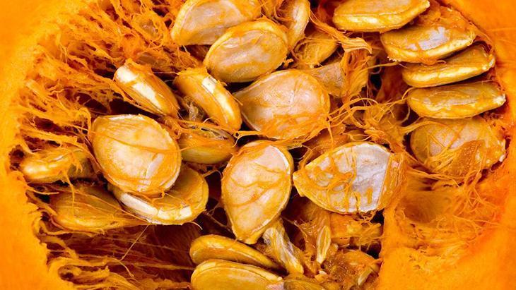 mutfakta sebze dogada meyve a vitamini deposu kavunla ayni aileden TSGVuQAr.jpg