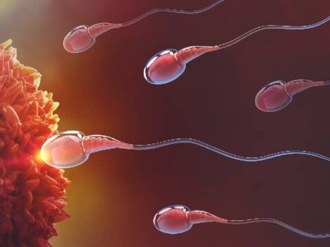 Sperm Depolama Süresi Kaliteyi Düşürüyor: Oxford Üniversitesi’nin Çarpıcı Araştırması