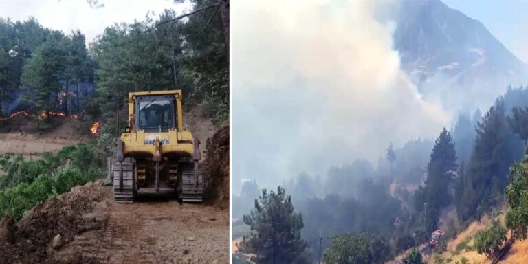 arkadasiyla-sakalasirken-92-hektarlik-orman-kul-oldu-cezasi-belli-oldu-Ms7venWf