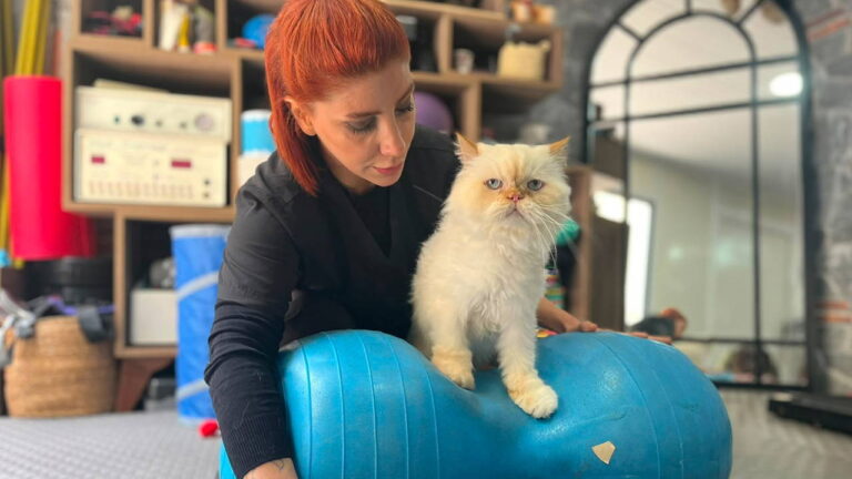 chinchilla-cinsi-kopuk-tip-dunyasini-sasirtiyor-18-yasinda-pilates-ve-yuzme-ile-hayata-tutundu-cGRKuyAX