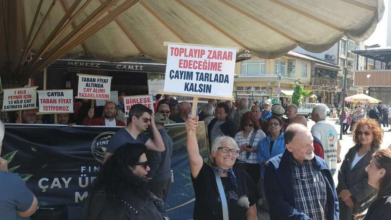 rize-findiklida-cay-ureticilerinden-35-tllik-fiyat-kararina-sert-tepki-bjSMVvJu-1