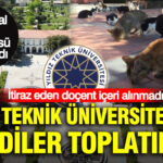Haber gorseli